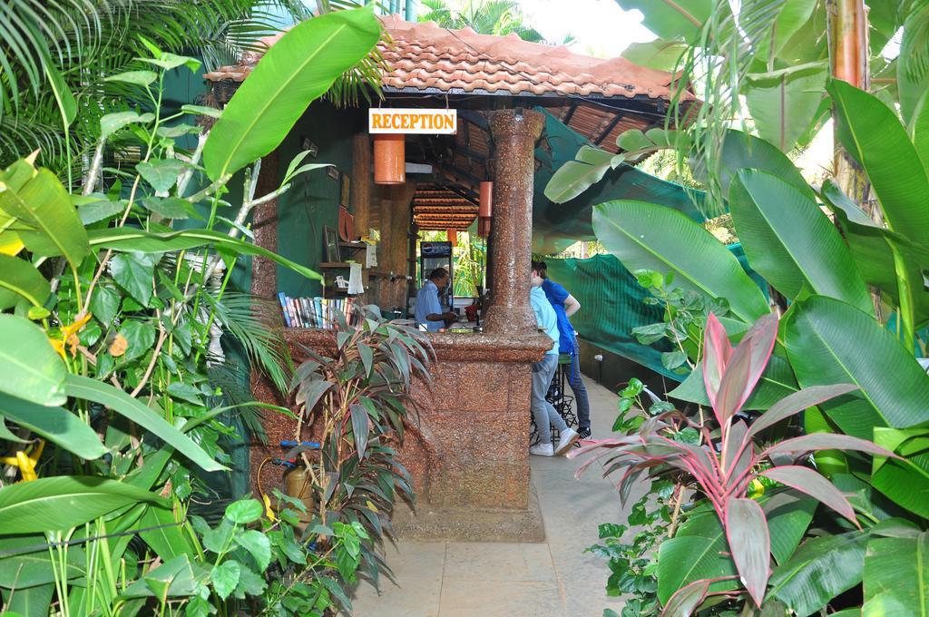 Villa Theresa Beach Resort Calangute Kültér fotó