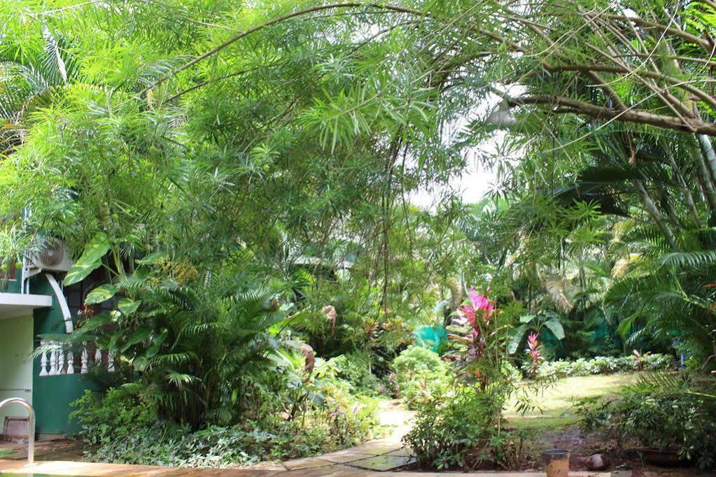 Villa Theresa Beach Resort Calangute Kültér fotó