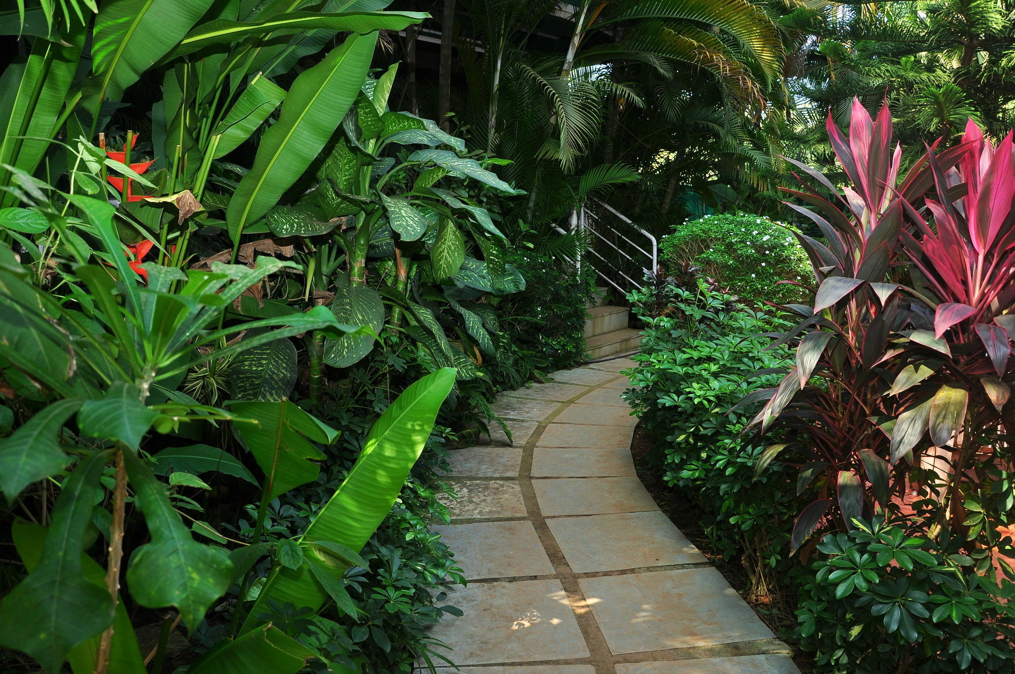 Villa Theresa Beach Resort Calangute Kültér fotó